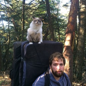 cat atop climbing pads