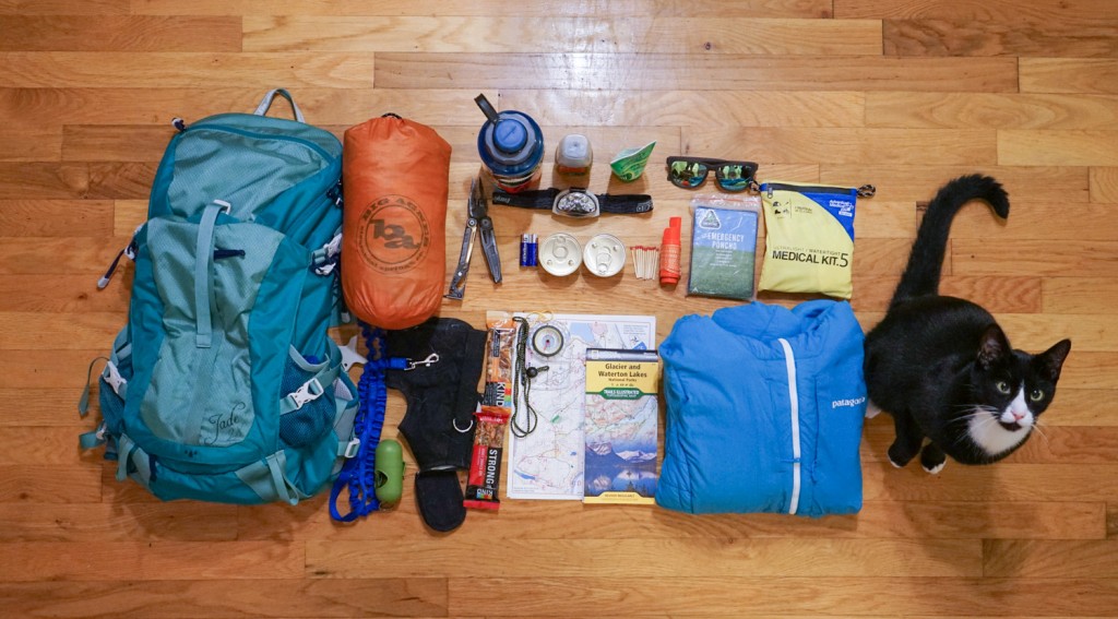what to pack for hike with cat