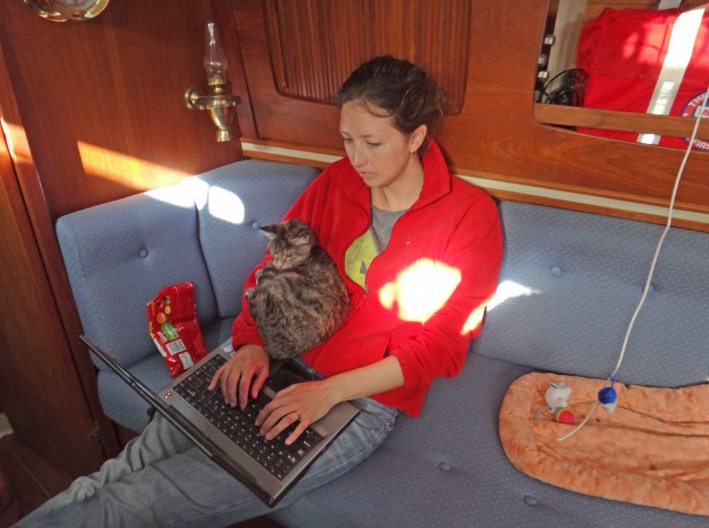 Georgie Boat Cat on Computer