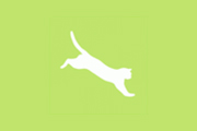 ASPCA green feline-ality
