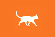 ASPCA orange feline-ality