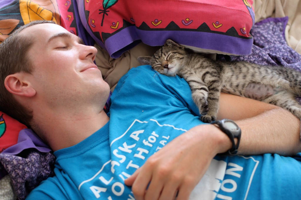 man cuddling with kitten