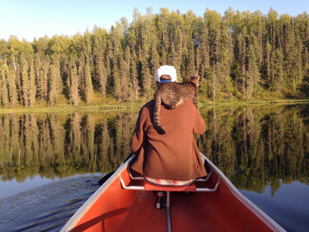 cat riding in canoe