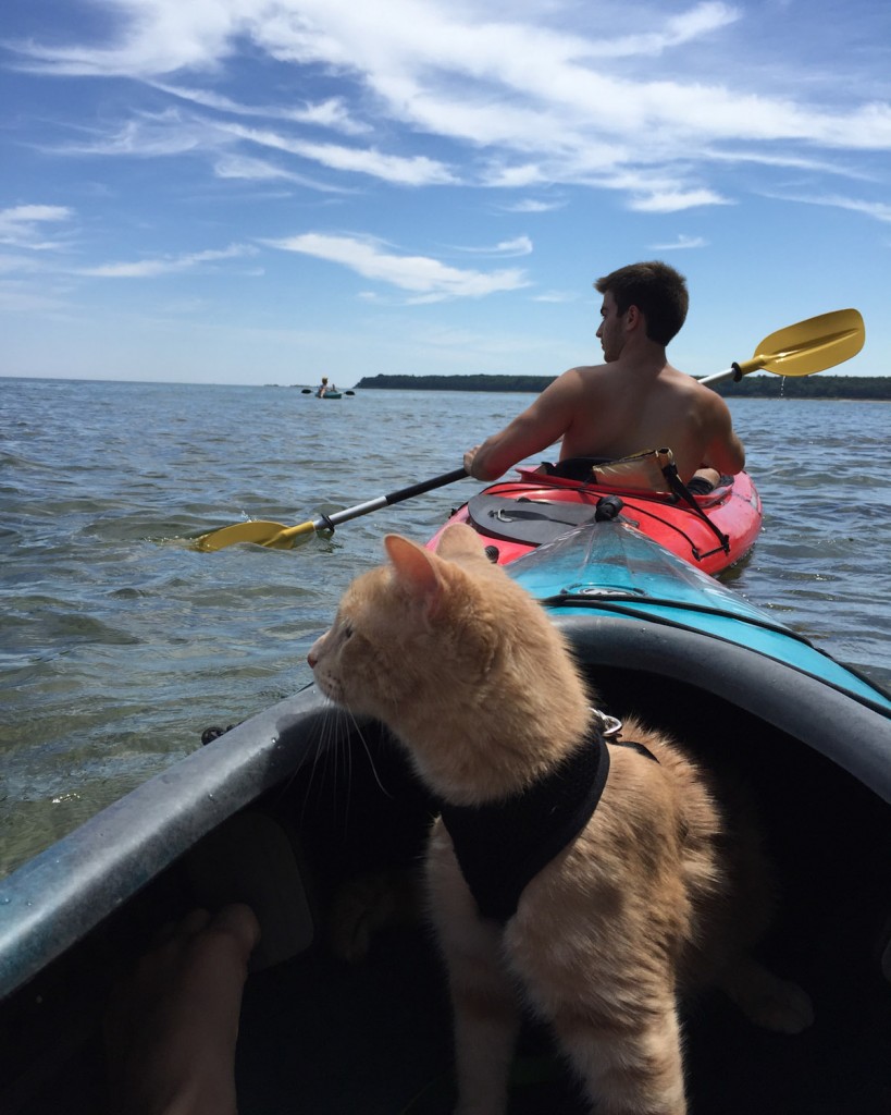 kayaking with cat