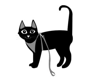 cat in harness illustration