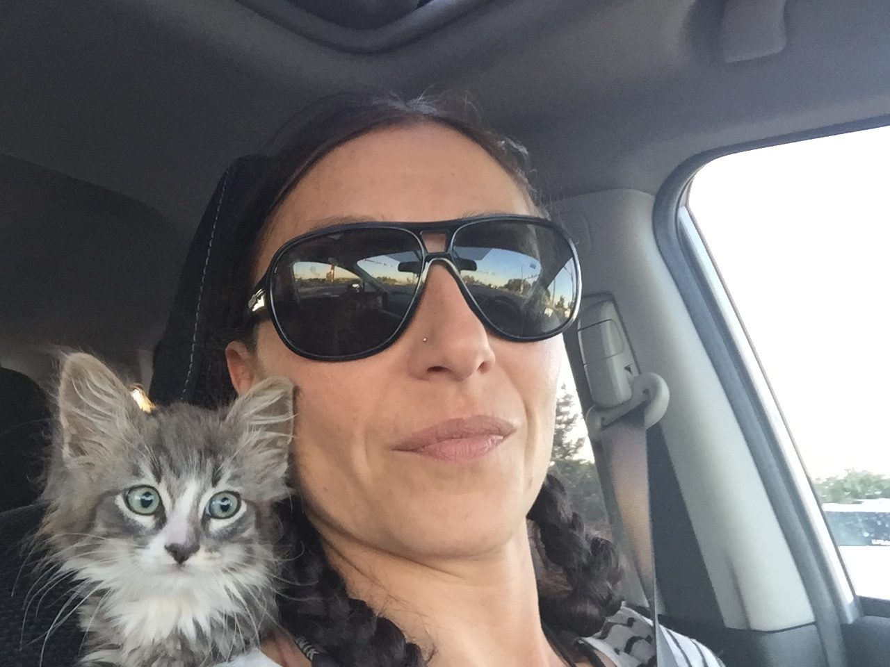 Kitten on shoulder of woman driving