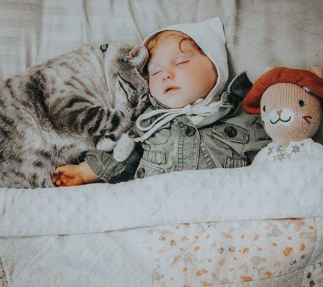 Cat naps with baby