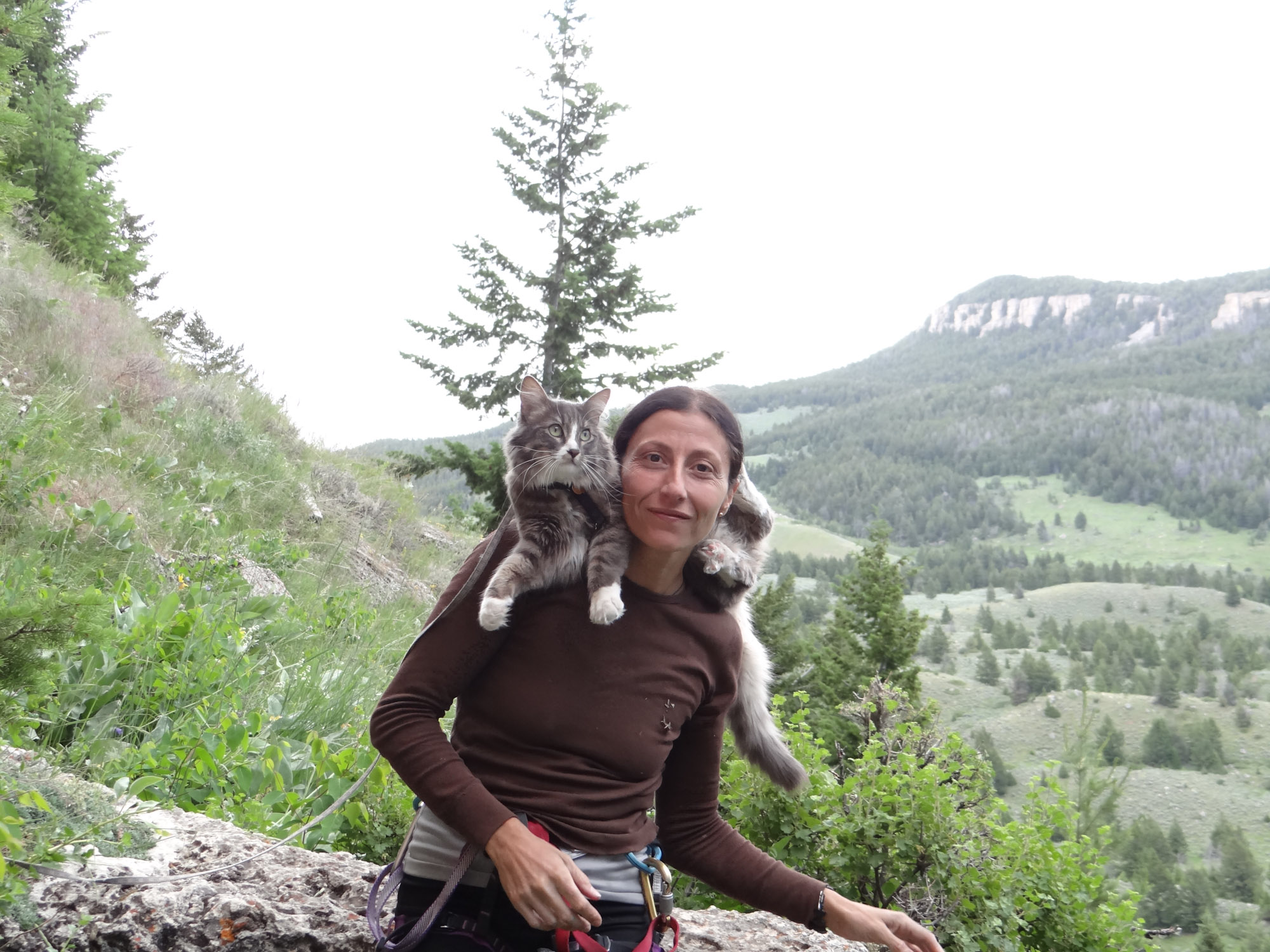 Sandra Samman poses with her courageous crag cat, Denali.