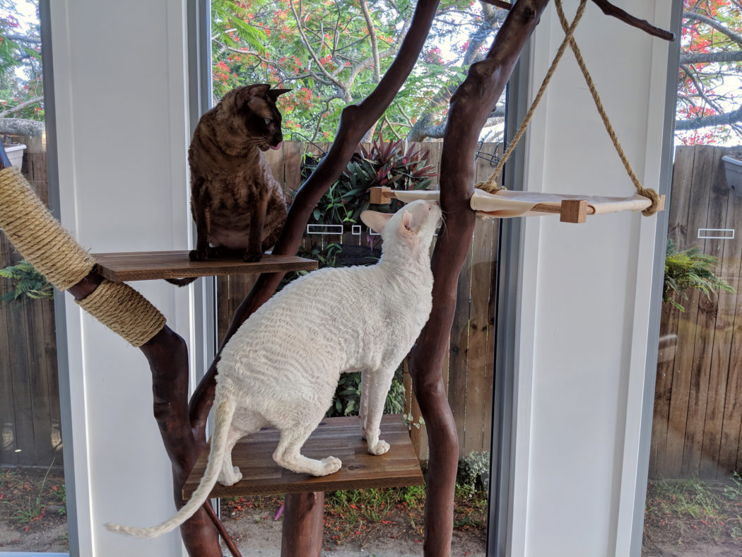 DIY cat tree made from found wood
