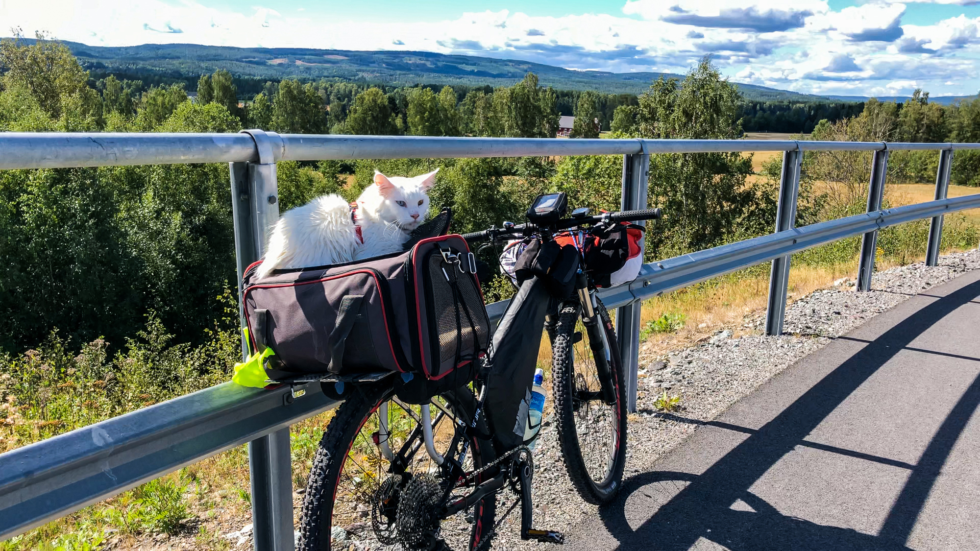 Cezar is no stranger to touring on bikes. Here, he sits comfortably in Norway. (Photo: Instagram/@cezars.crew)