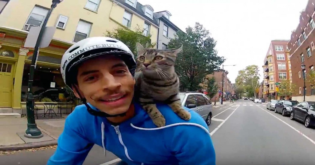 MJ the cat on Rudi Saldia’s shoulder