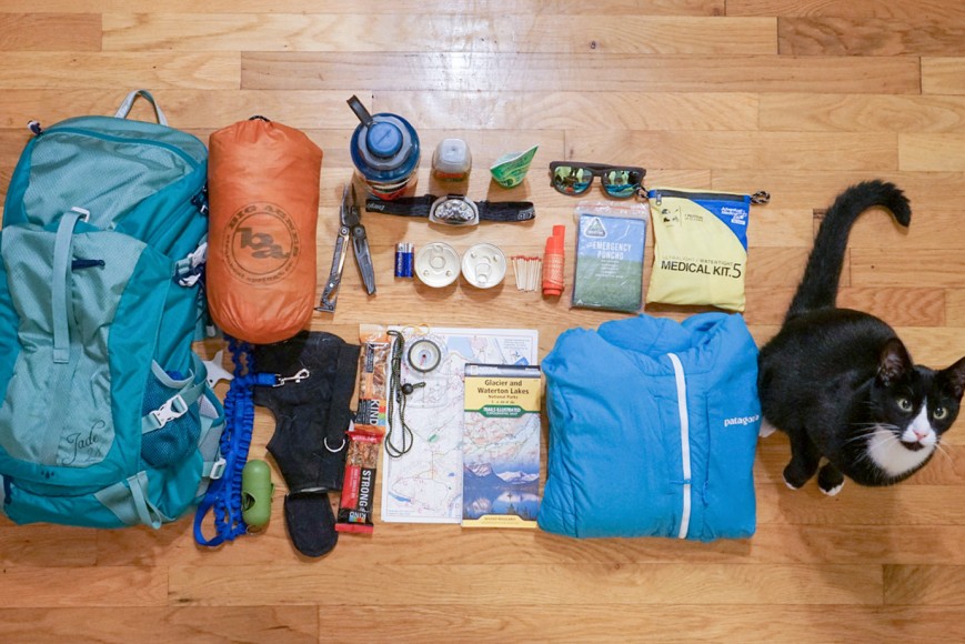 What to pack 14 essentials for hiking and camping with a cat
