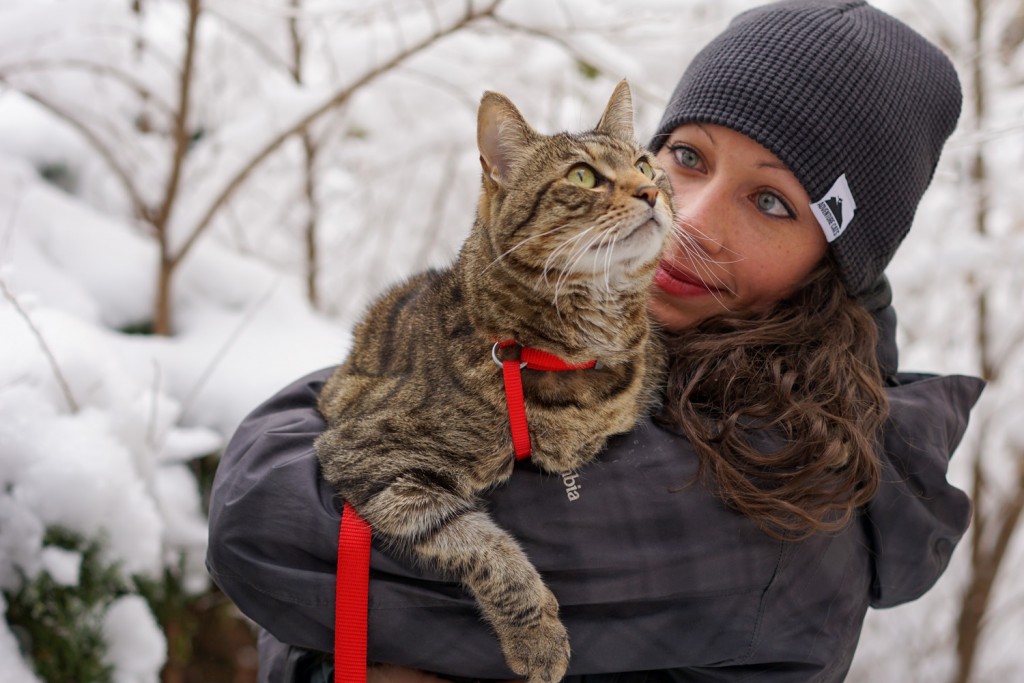 adventure-cats-beanie-liz-02