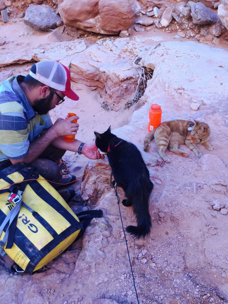 adventure cats stop for a water break