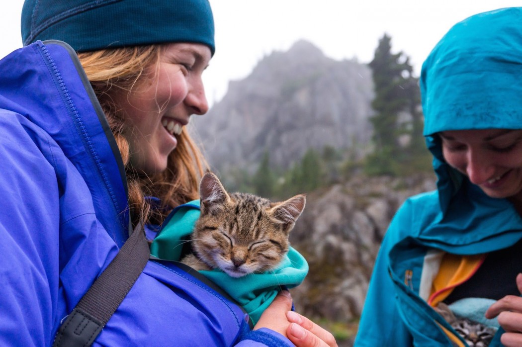 cuddling kittens on a hike