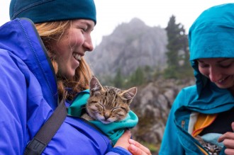 cuddling kittens on a hike