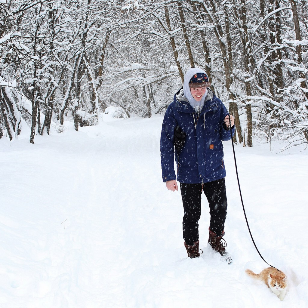 kitten hiking snow