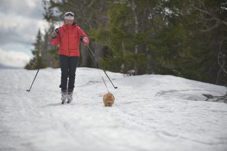 Jesper cat skiing in Norway