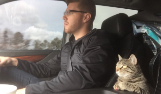 Freddie Freeman on road trip with cat