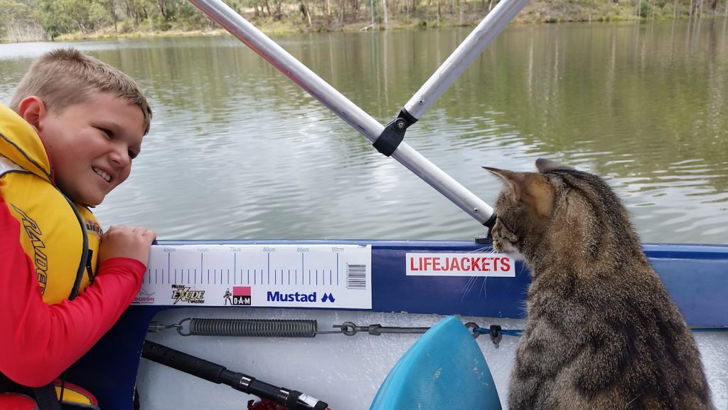 Yoshi cat looking over side of boat