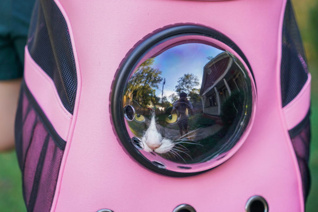 tuxedo cat in pink Fat Cat backpack
