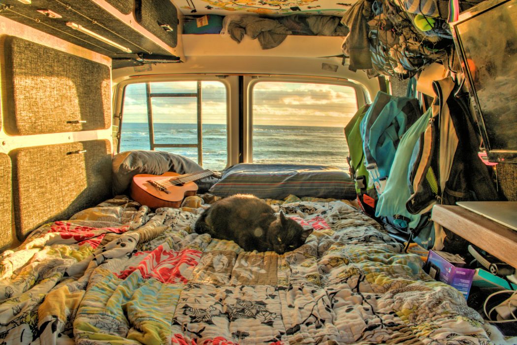 cat sleeping in van at beach