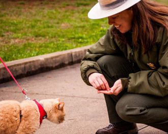 Park Ranger Angela Allison feeding treats to hiking cat at New River Gorge National River