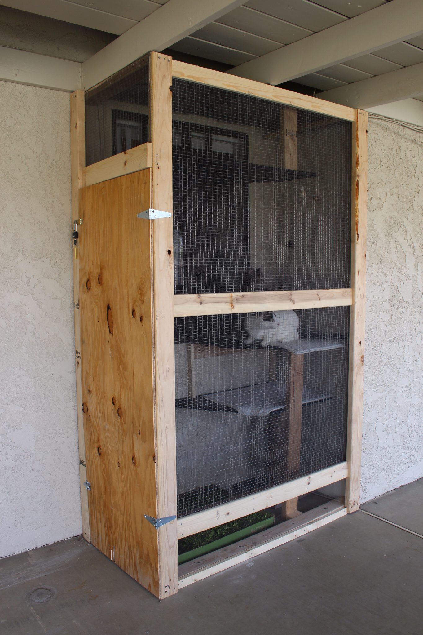 indoor catio