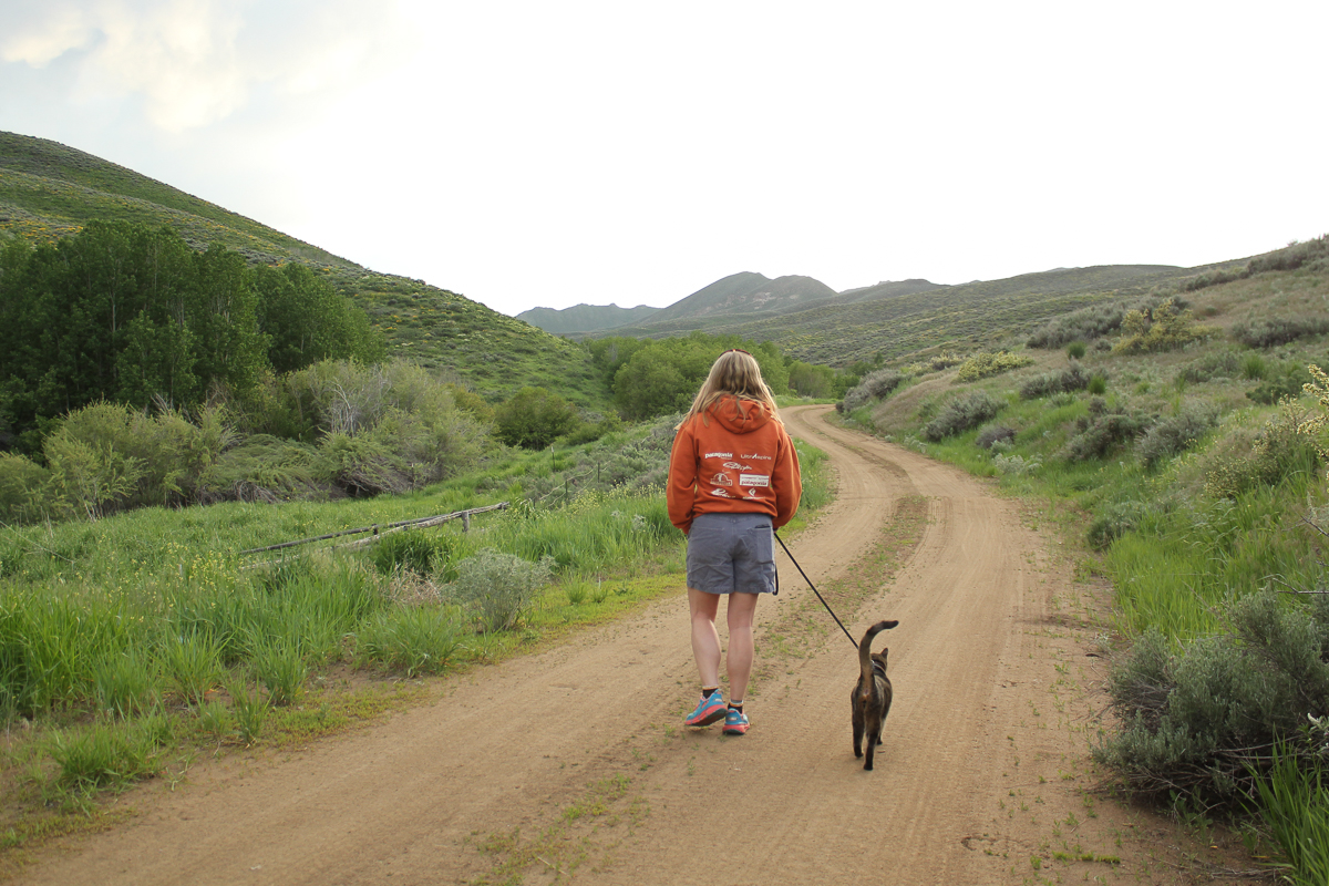 Woman walks cat along dirt road