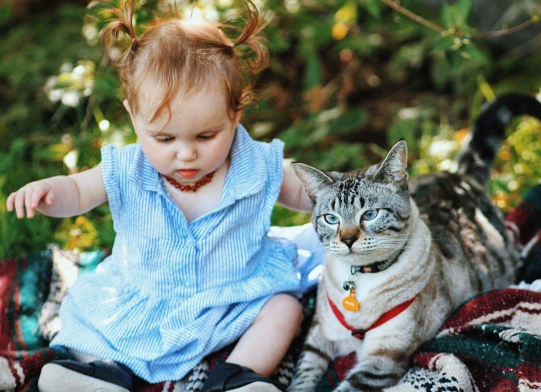 Cat and baby outside