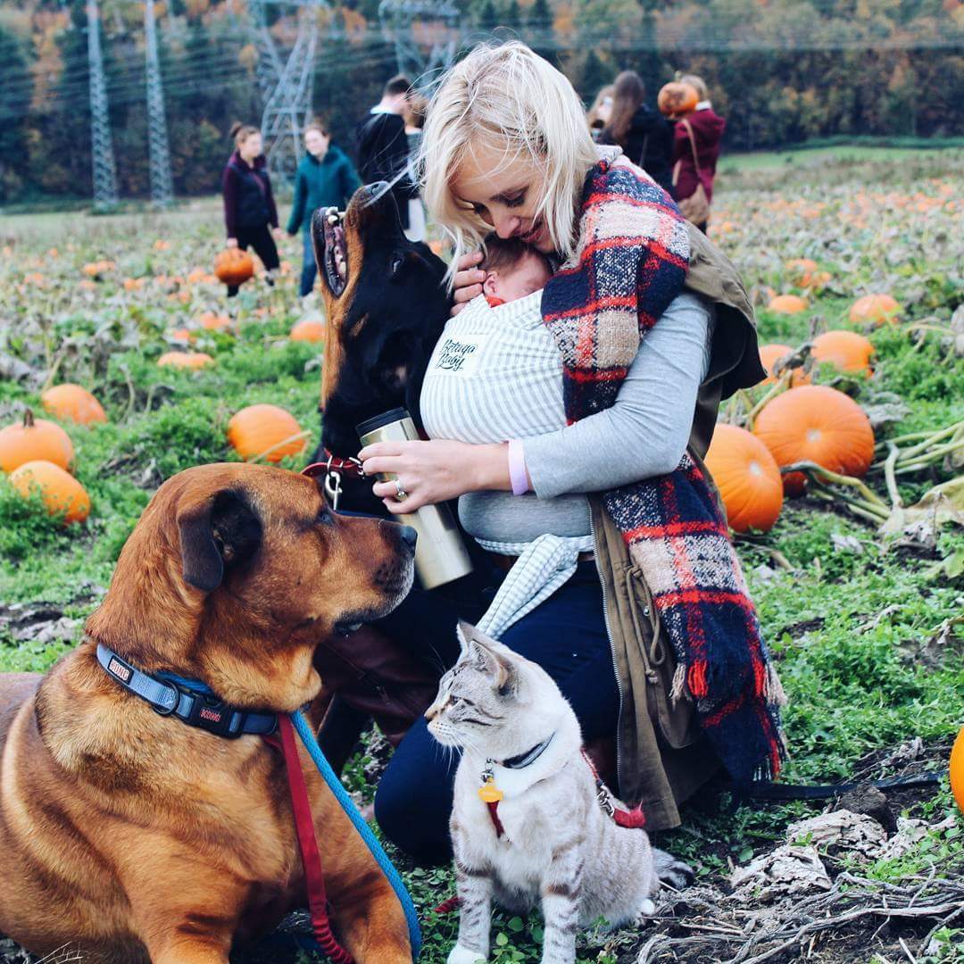 Pumpkin patch fun