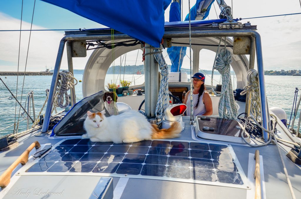 Salty Sea Cat on Boat