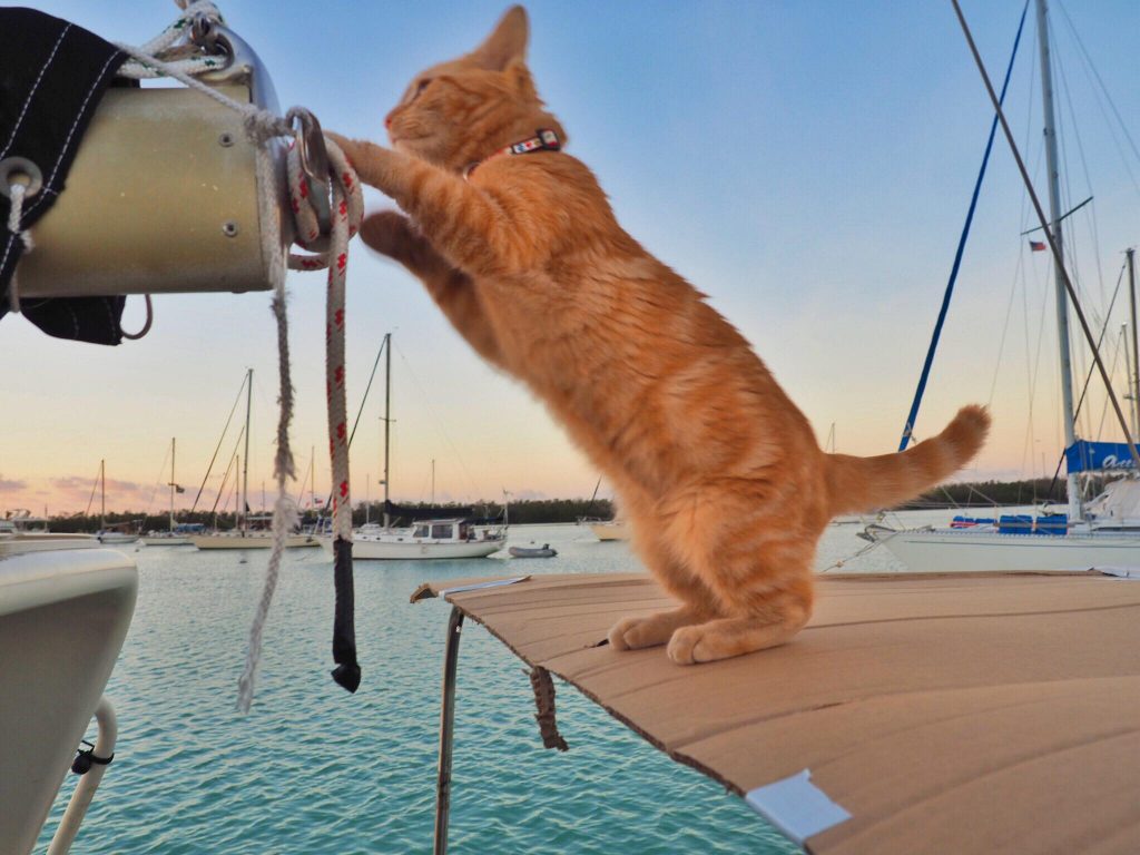 Captain Ahab on Boat