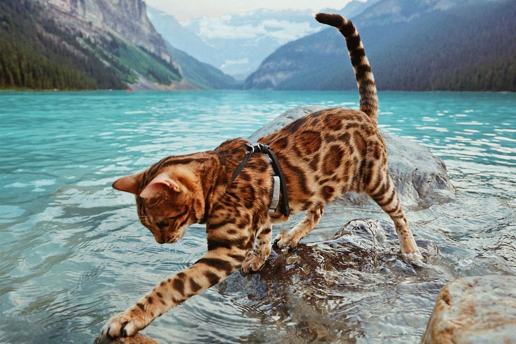 Suki explores the crystal waters of Canada's Lake Louise.