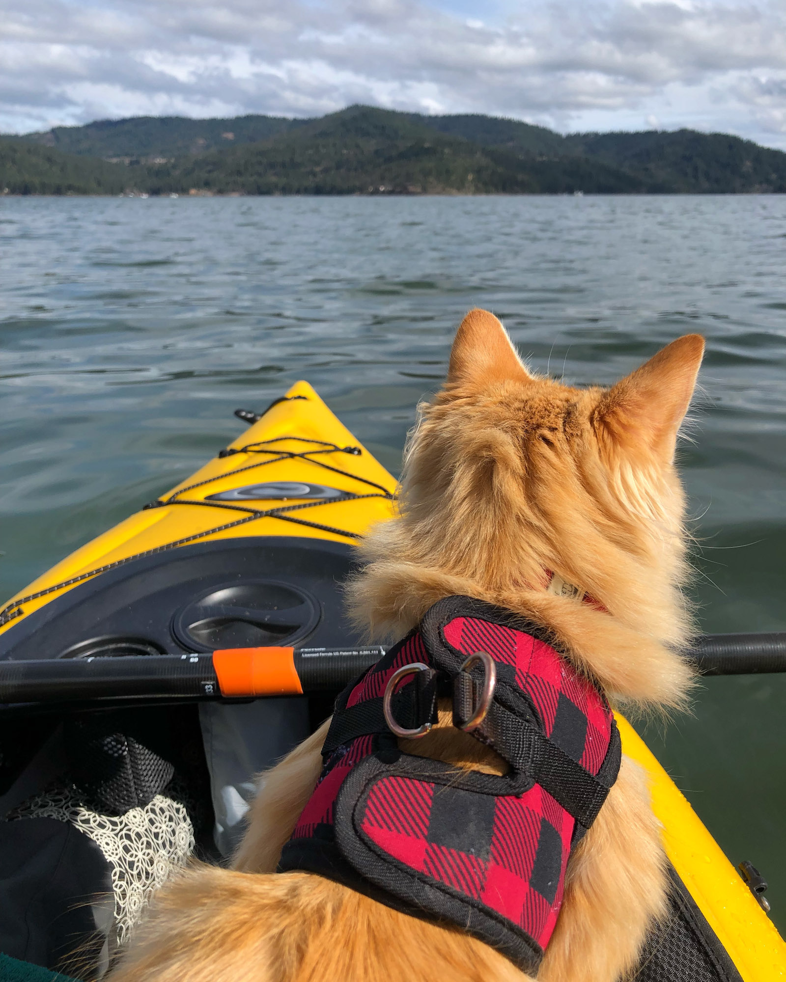 Leon adventure cat in kayak