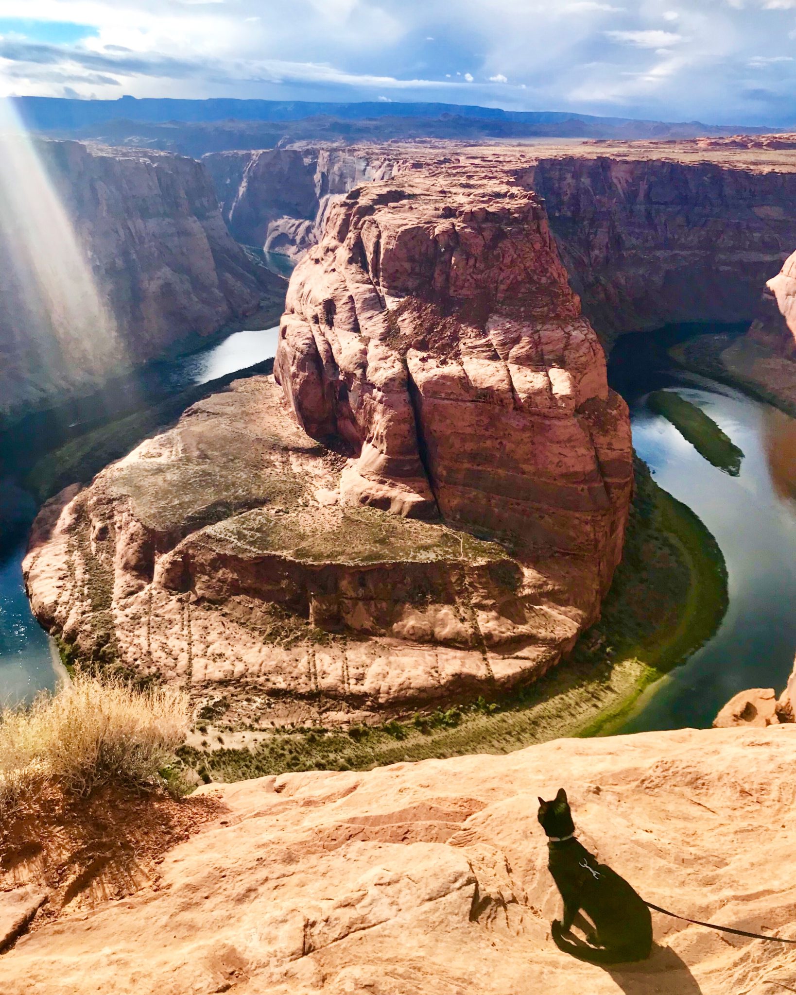 adventure cat at Horseshoe Bend