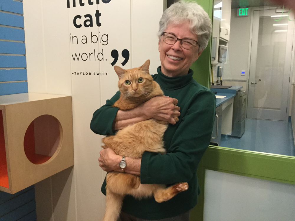 Smiling woman holds orange cat